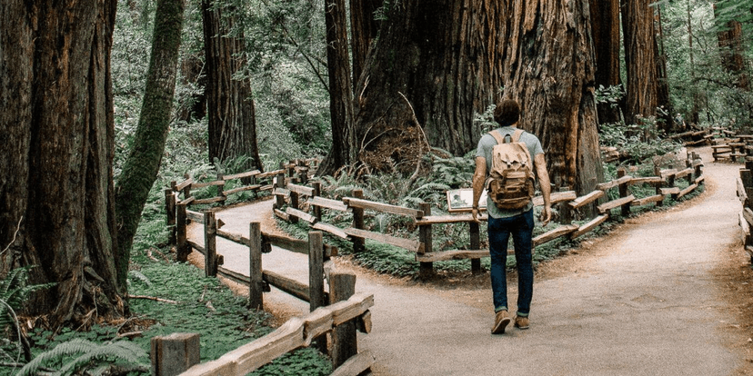 Cash Fund, Term Deposit or Saving Account: Which Do I Choose?