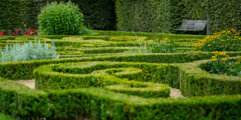 Hedging: What is it and How Does it Work?