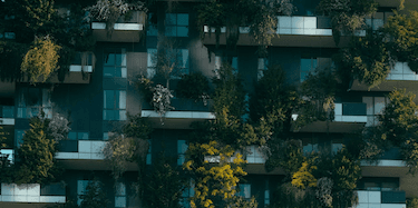 blog header image_sustainable funds